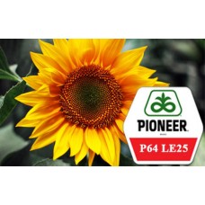 Семена подсолнечника Pioneer P64 LE25